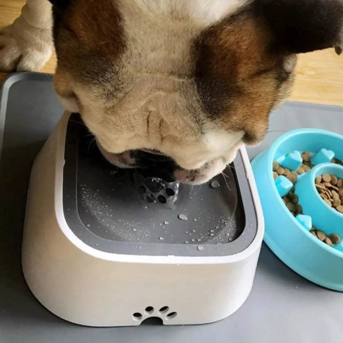 Bebedero Antiderrames para Mascota