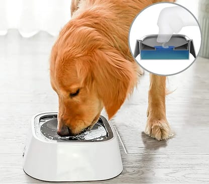 Bebedero Antiderrames para Mascota